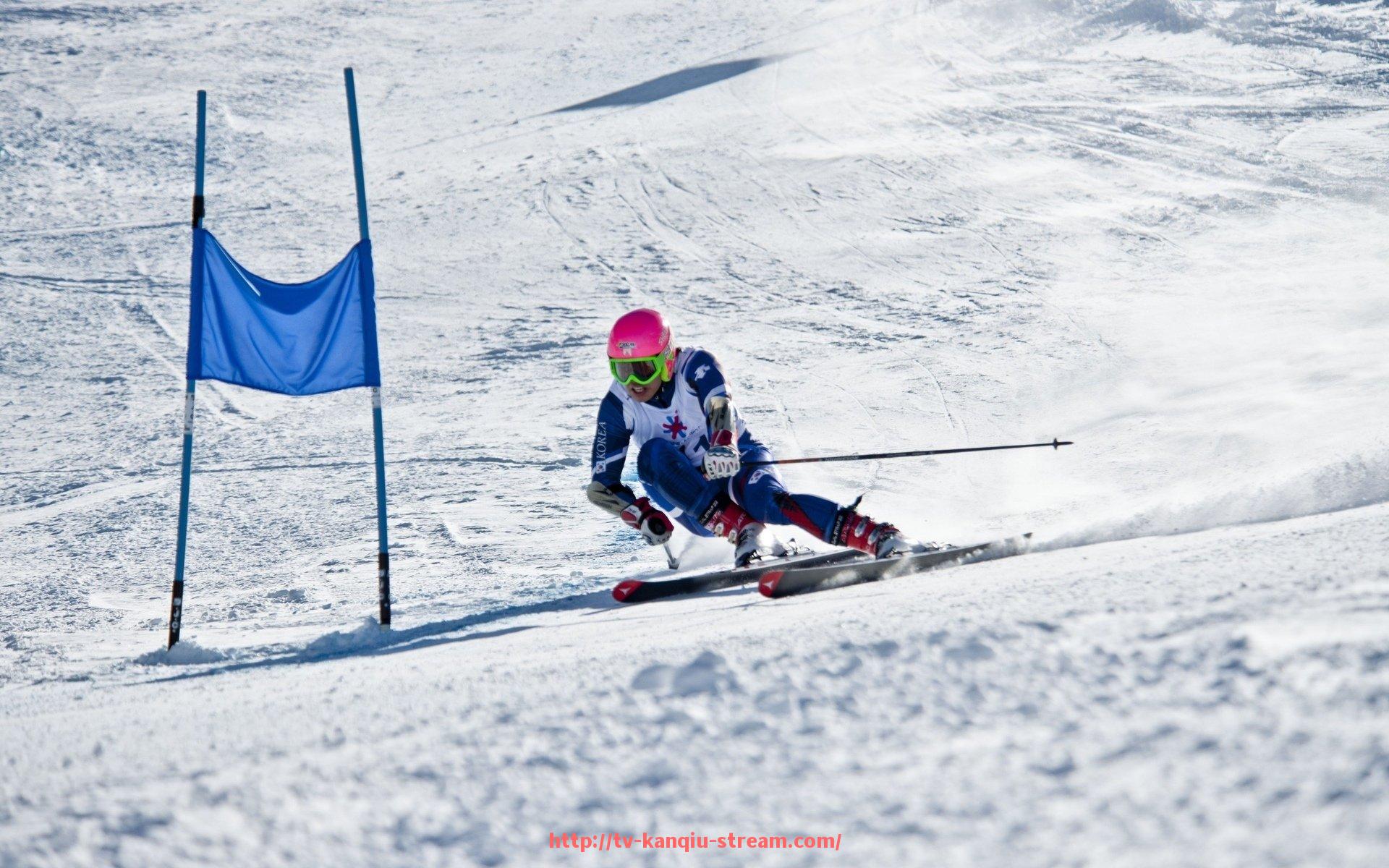 看球直播-健美健身器材推荐：塑形与增肌的专业器械